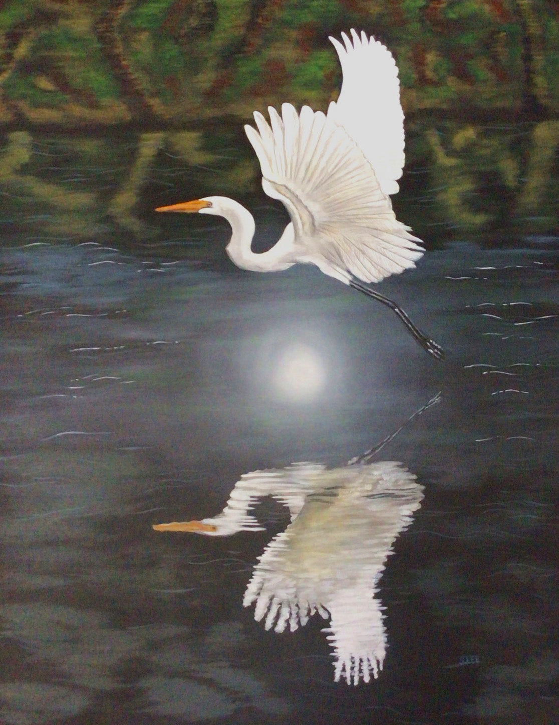 "Moonlight Flight" Great White Egret