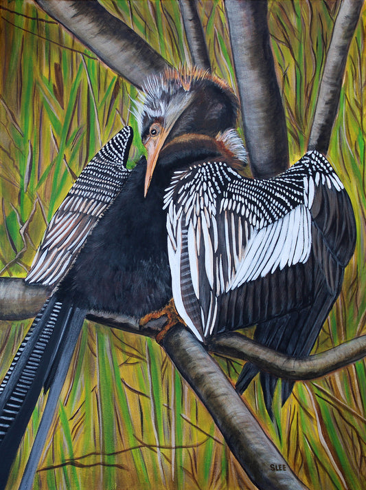 Anhinga original acrylic painting on canvas by Sheryl Lee