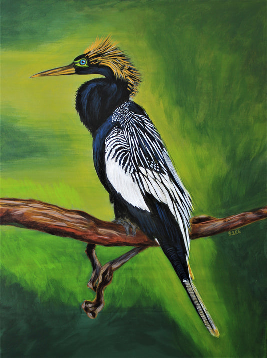 Anhinga Profile original acrylic painting on canvas by Sheryl Lee