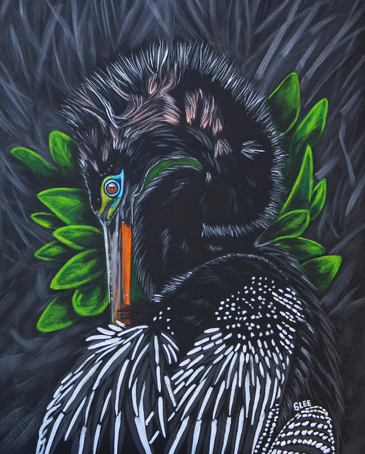 Anhinga Diva