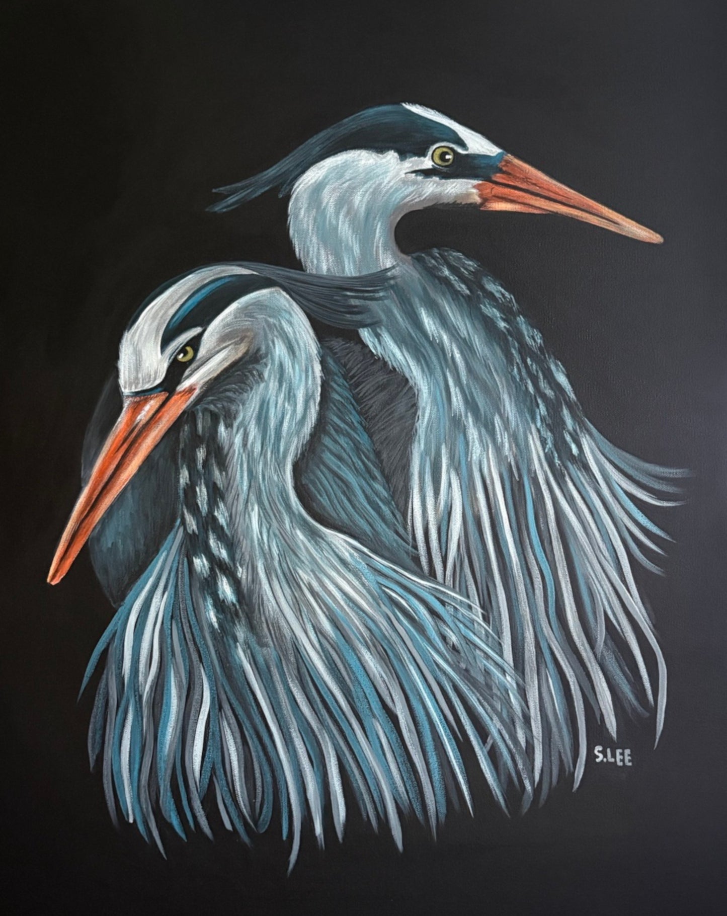 Blue Brothers