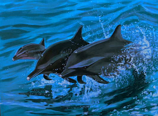 Dolphins original acrylic painting on canvas by Florida artist Sheryl Lee