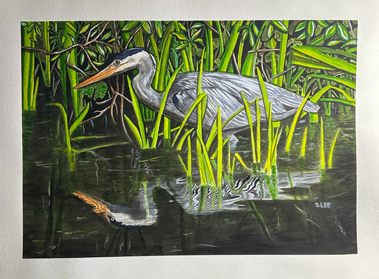 Great Blue Heron Wading, Watercolor