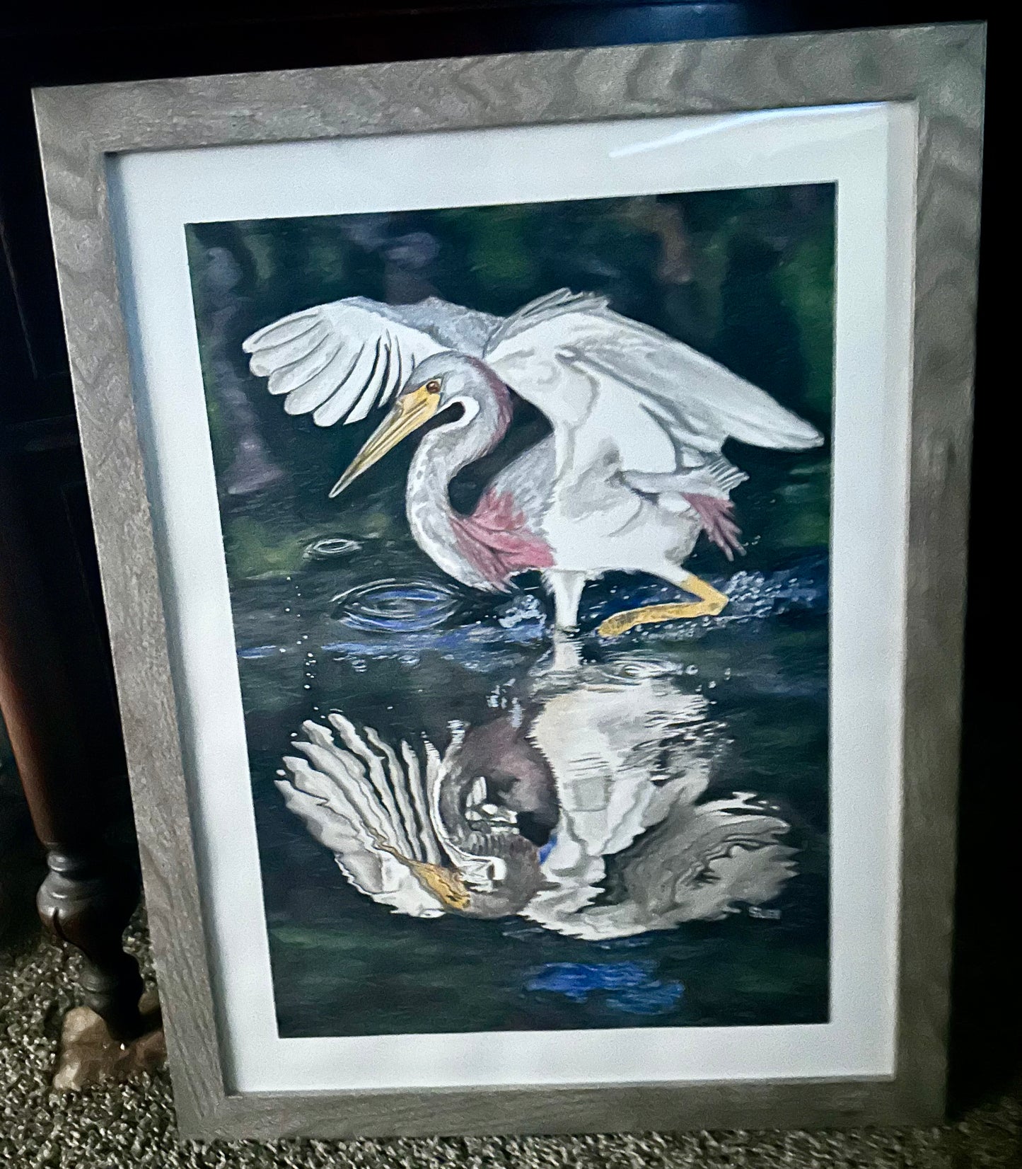 Tri-Color Heron Wading, Watercolor