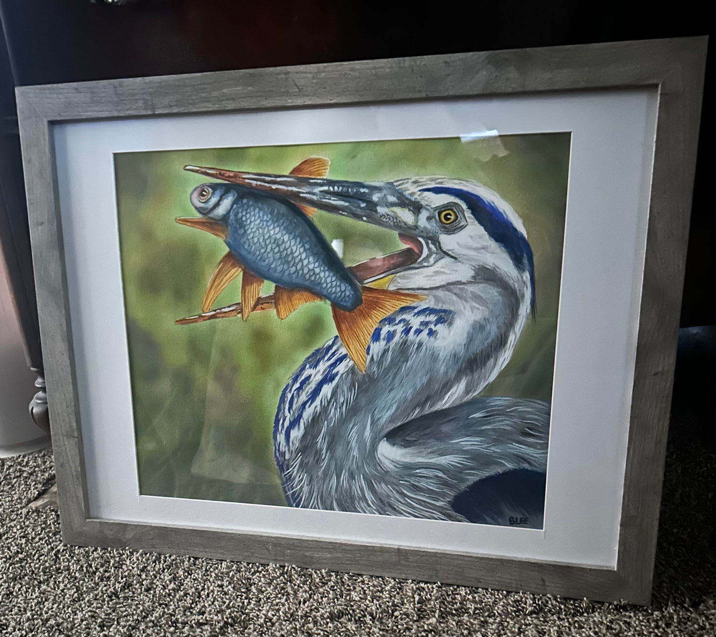 Great Blue Heron With Lunch, Watercolor