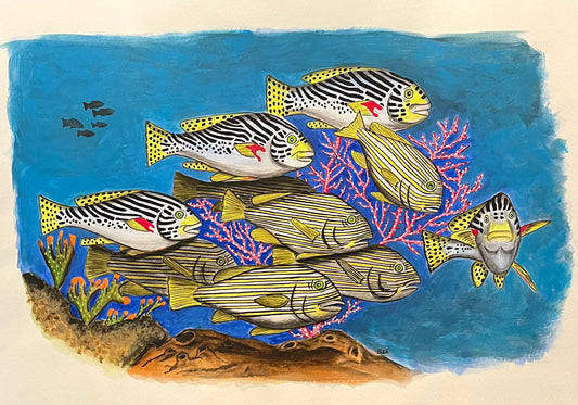 Reef Fish, Watercolor