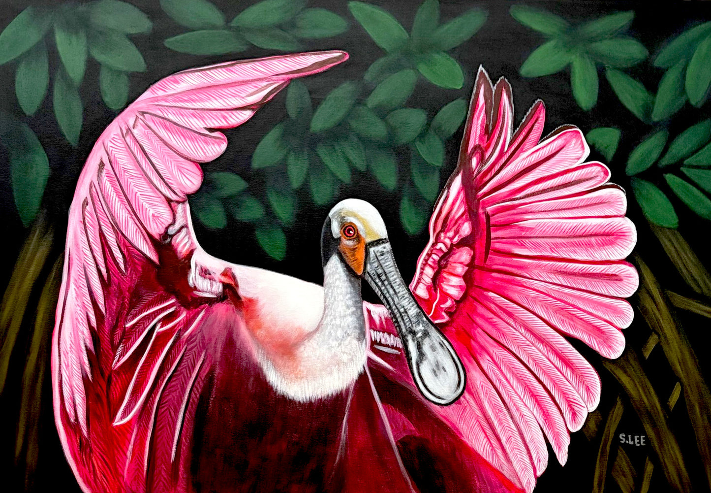 Roseate Spoonbill Beauty