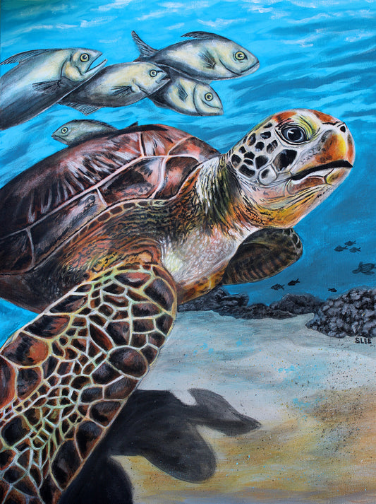 Sea Turtle and Friends original acrylic painting by Sheryl Lee