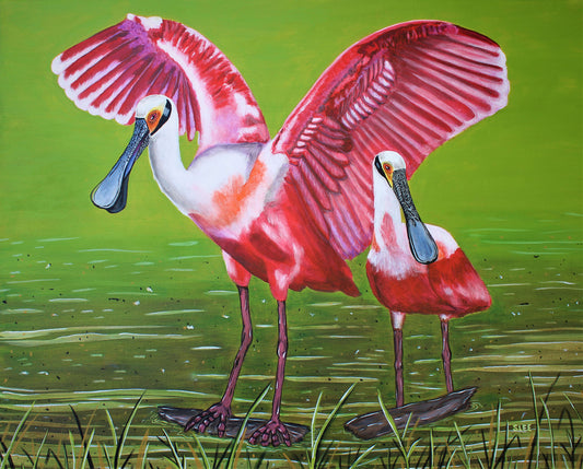 Roseate Spoonbills Wading
