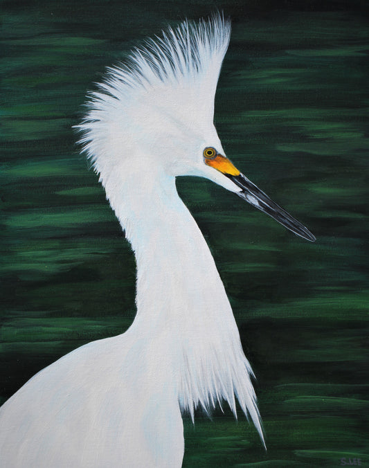 Snowy White Egret original acrylic painting on canvas