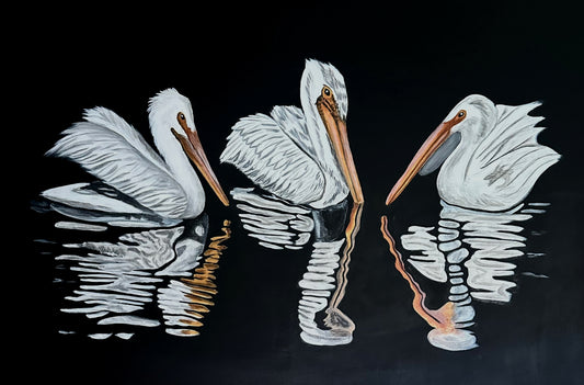 Three Pelicans Reflecting