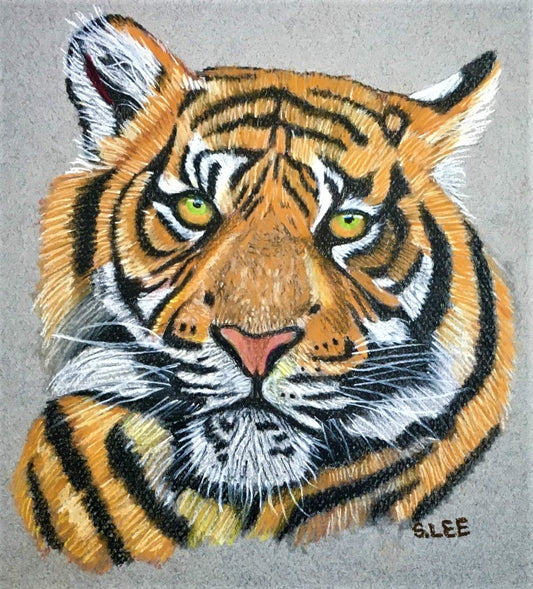 Tiger, Pastel Drawing