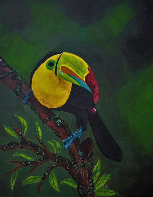 Toucan on a Limb