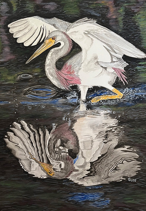 Tri-Color Heron Wading, Watercolor