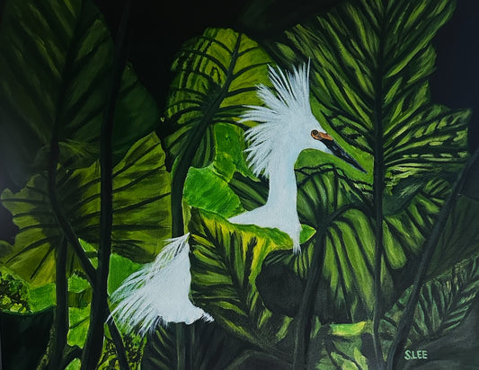 Snowy White Egret Hiding