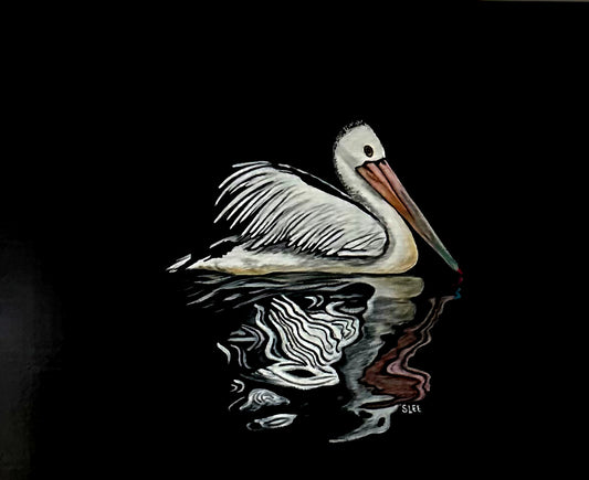 White Pelican
