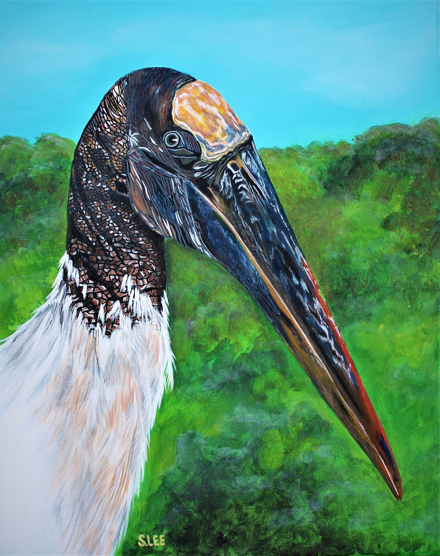 Wood Stork