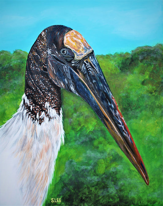 Wood Stork