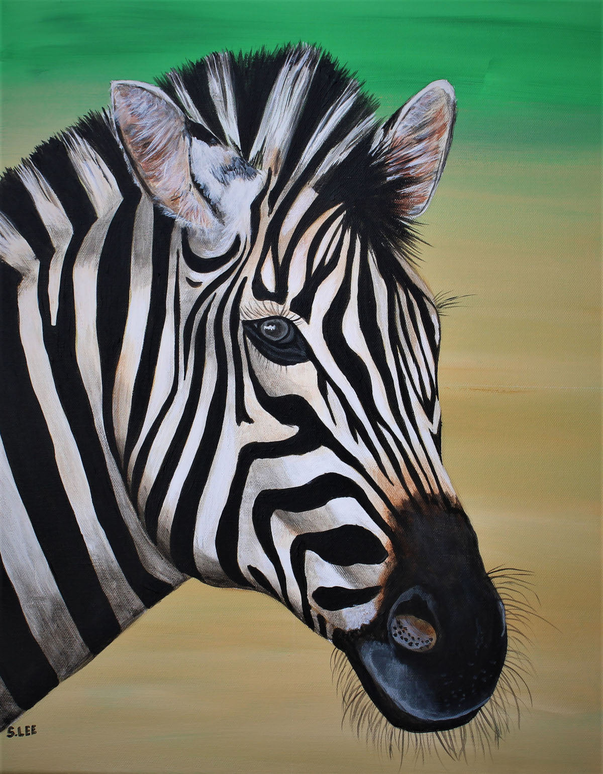 Zebra