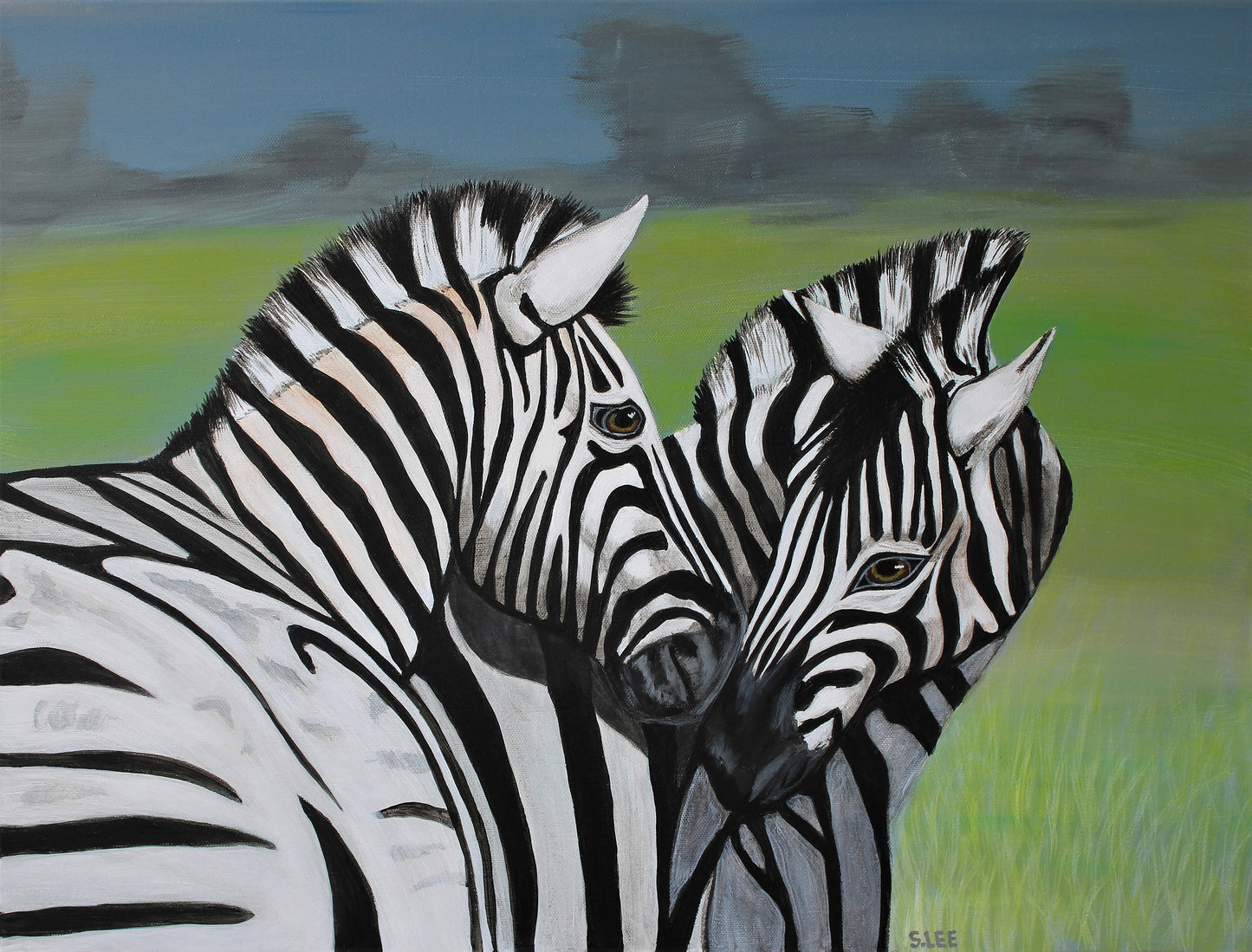 Zebras