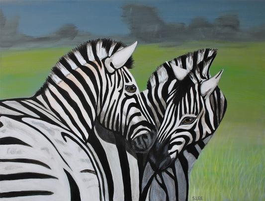 Zebras