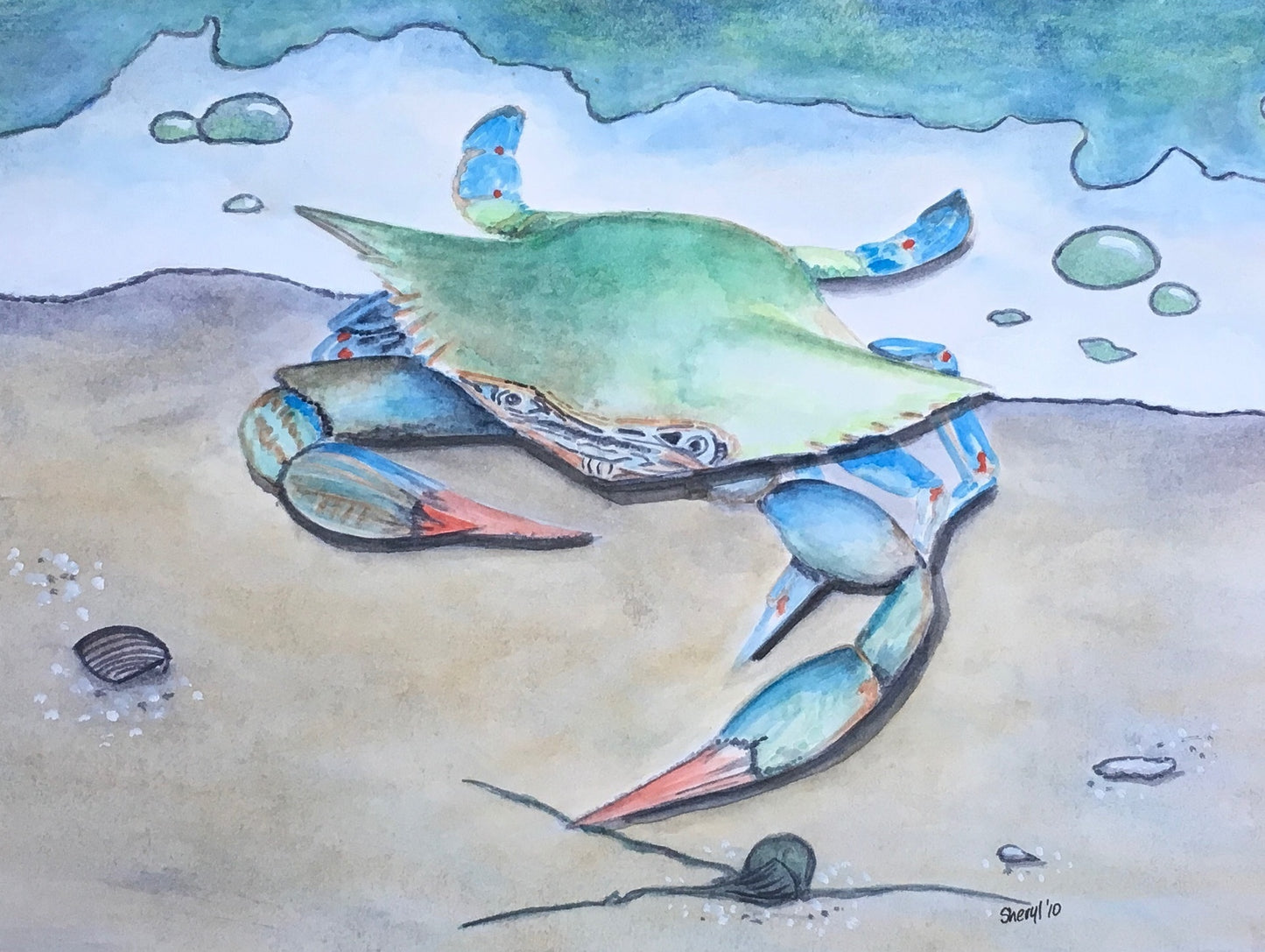 Blue Crab on Beach, Watercolor
