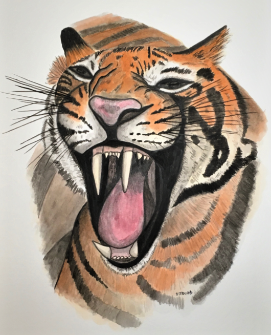Tiger, Watercolor